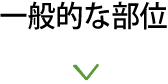 一般的な部位