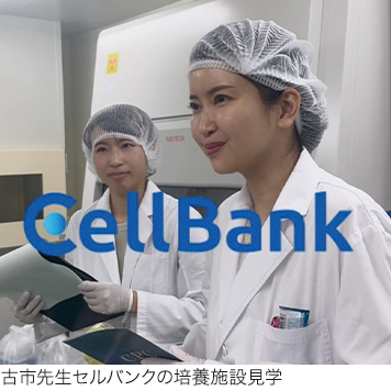 古市先生セルバンクの培養施設見学
