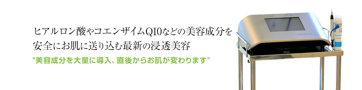 メソナJ ・メソナJプラス