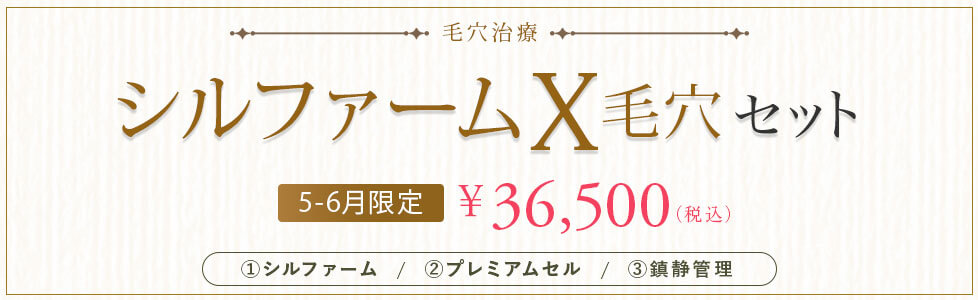 シルファームX毛穴セット